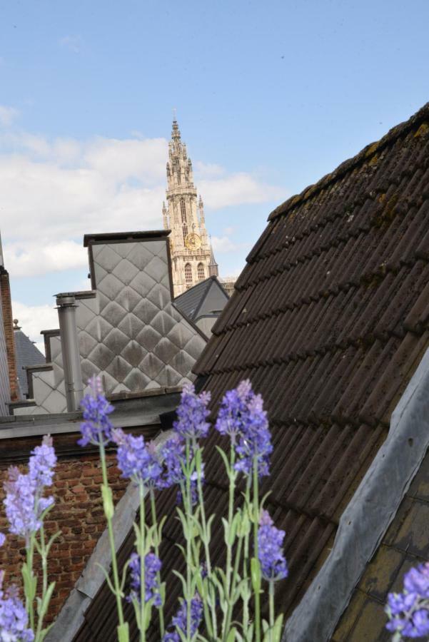 Huize Amoras Antwerp Exterior photo